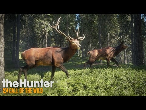 hunter call of the wild pc game
