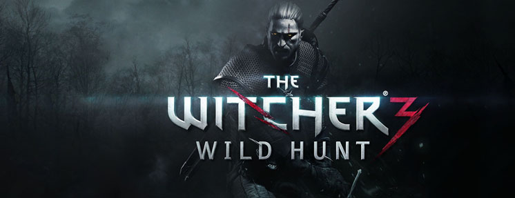 	Witcher 3: Wild Hunt - Steam Steam