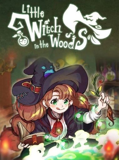 Little Witch in the Woods cover image