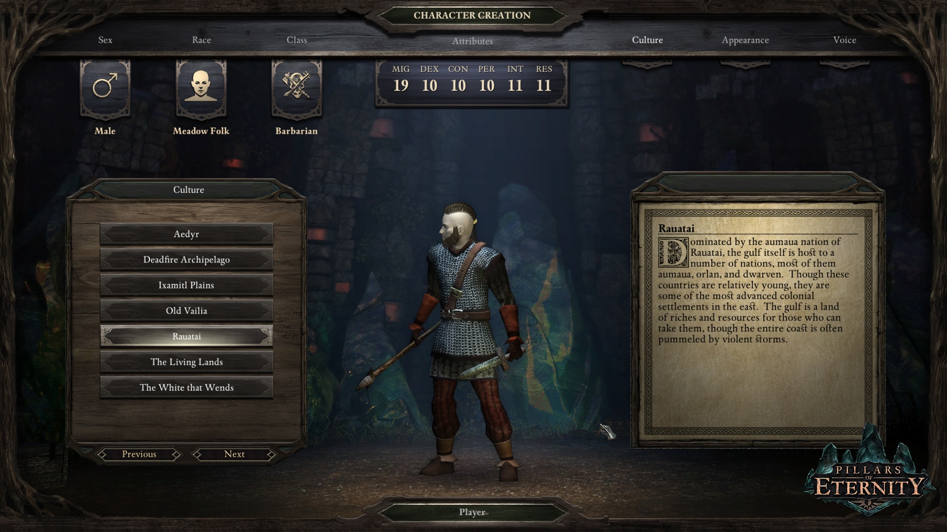 pillars of eternity hero edition