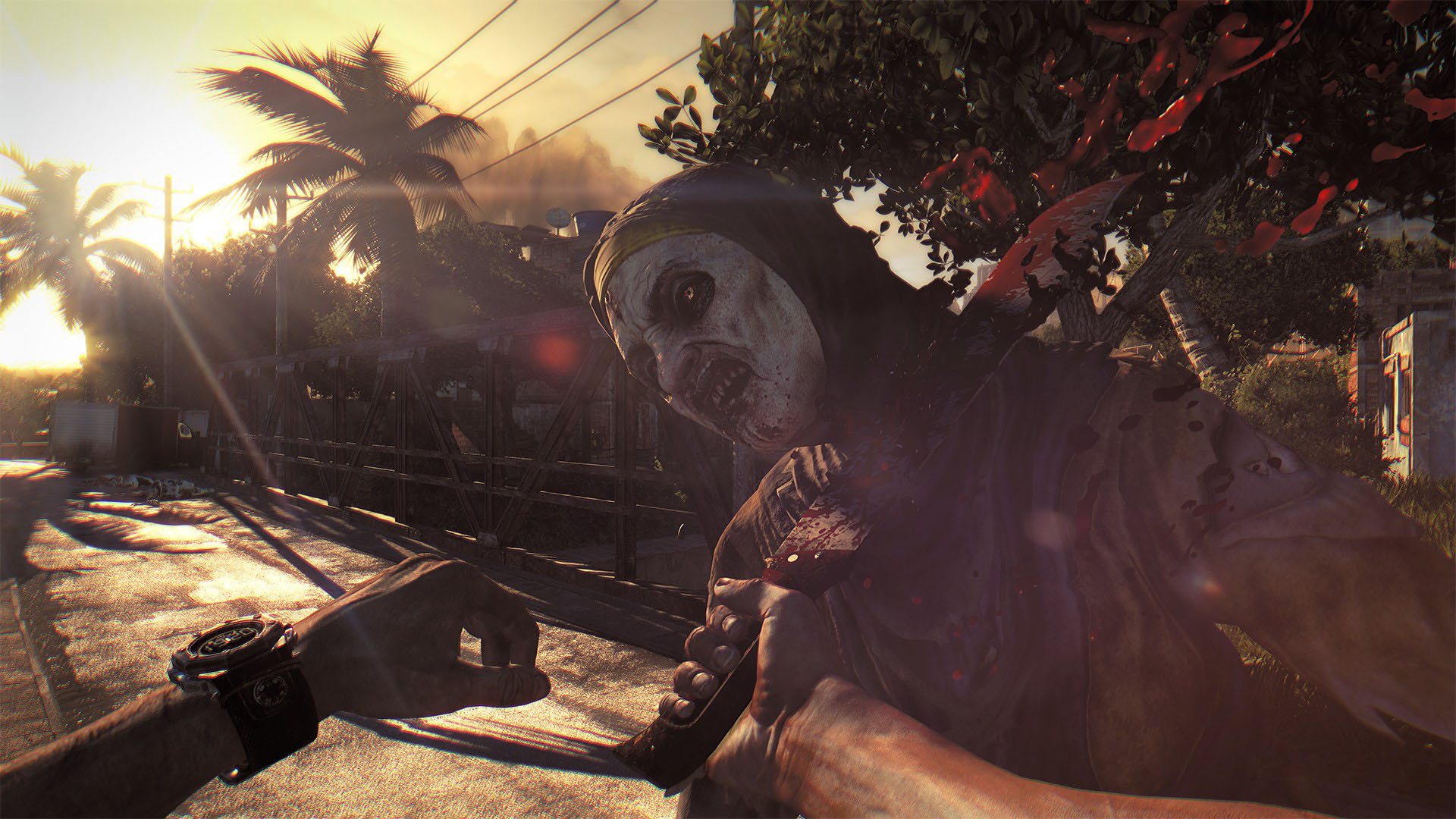 Картинки dying light