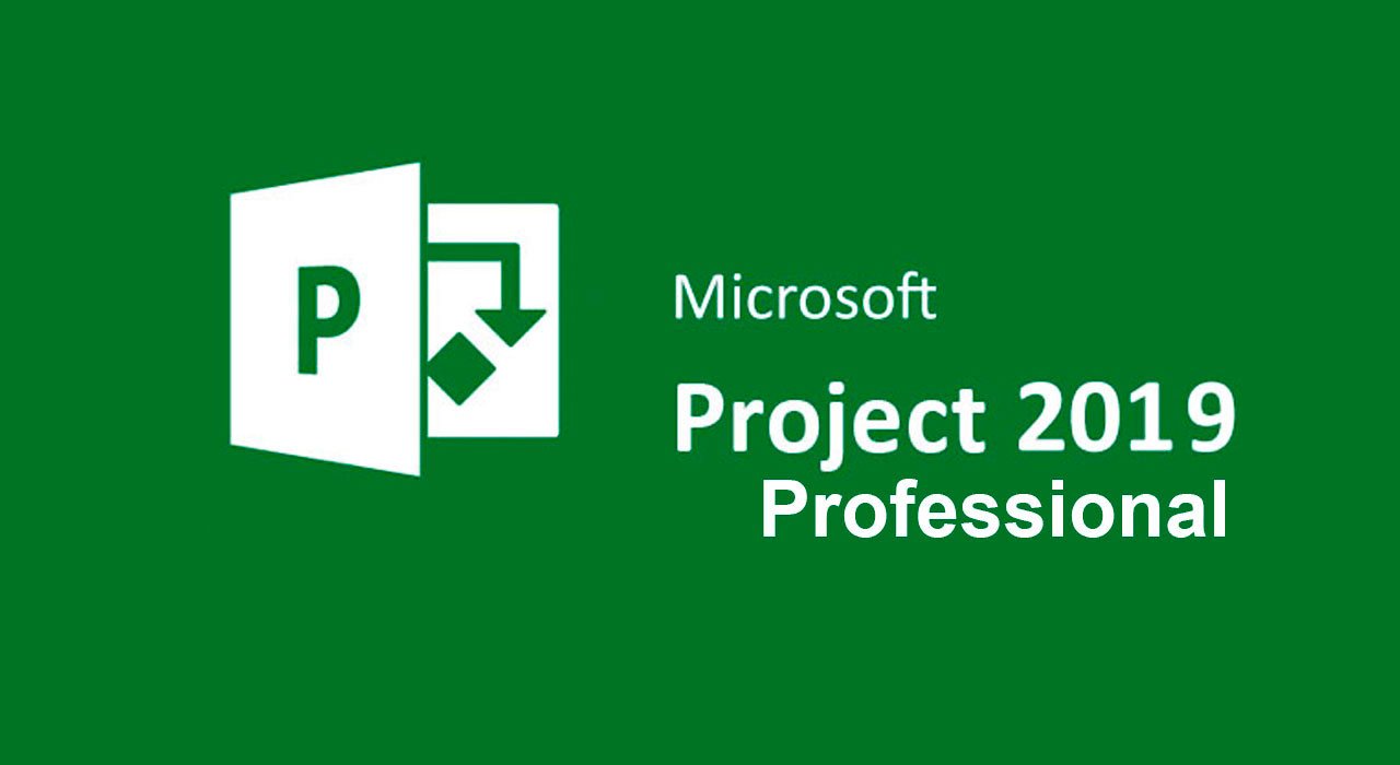 Buy Project Professional 2019 MS Products PC Game | Download