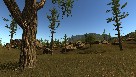 buy rust steam