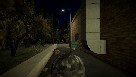 Capture d