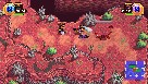 Screenshot klein 5