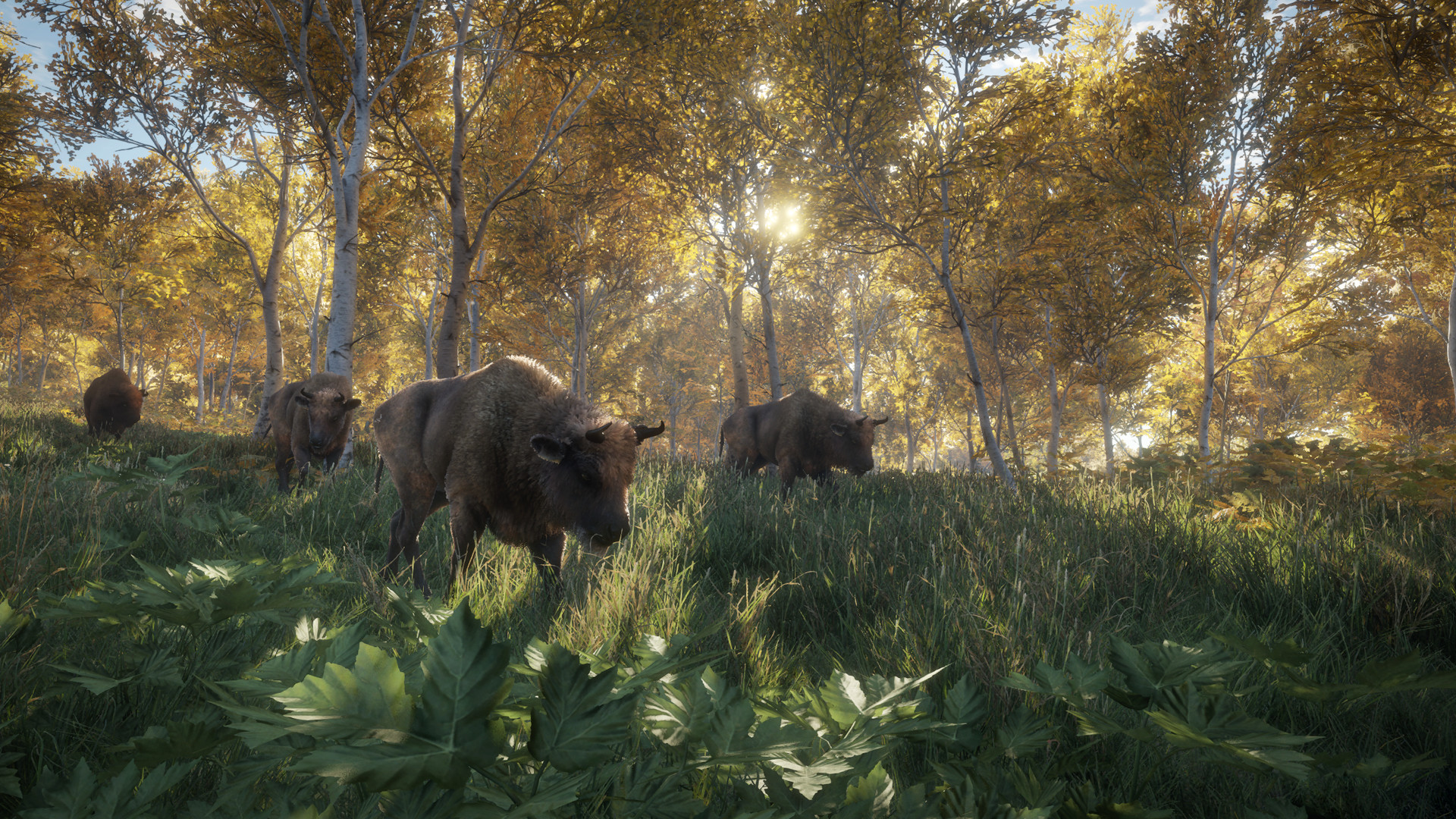 the hunter call of the wild when will i start to see diamond