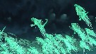 Screenshot small 3