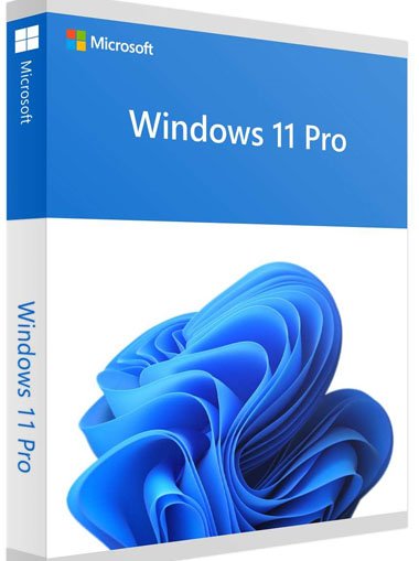 Windows 11 Professional MS Products cd key