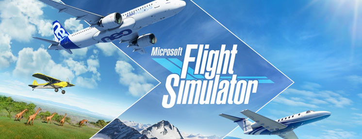 	Microsoft Flight Simulator: Standard 2020 (Windows 10) GamesForWindowsLive